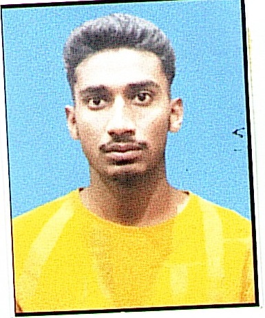 Owl Image