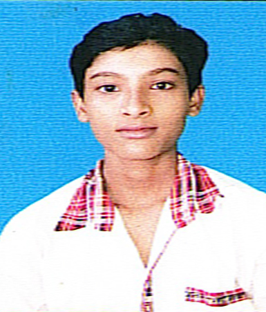 Owl Image