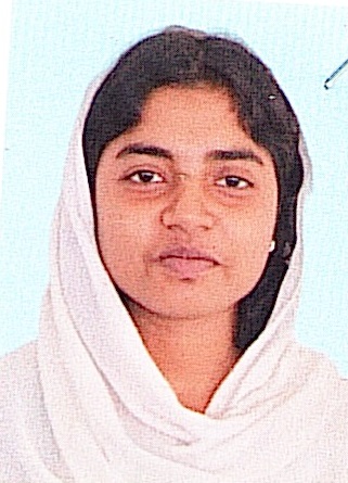 Owl Image