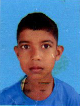 Owl Image