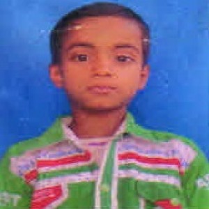 Owl Image