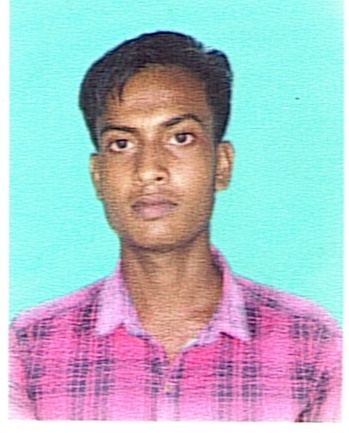Owl Image