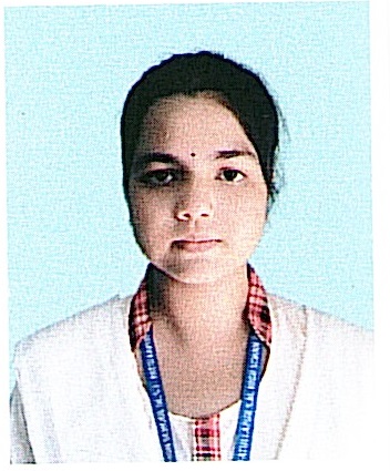 Owl Image