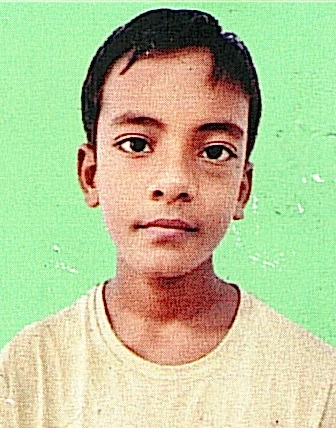 Owl Image