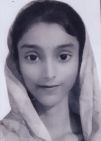 Owl Image