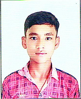 Owl Image