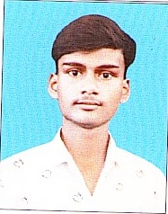 Owl Image