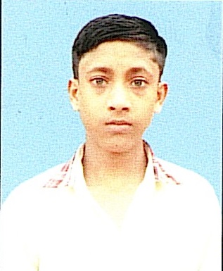 Owl Image