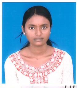 Owl Image