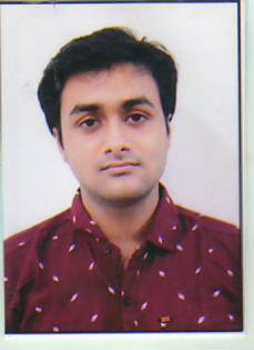 Owl Image
