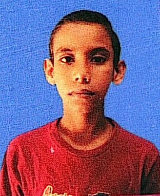 Owl Image