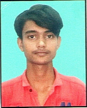 Owl Image
