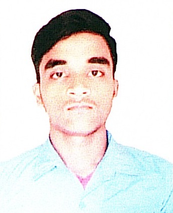 Owl Image